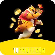 10pmbet: Plataforma Segura e Premiada